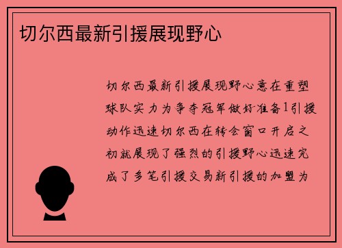 切尔西最新引援展现野心